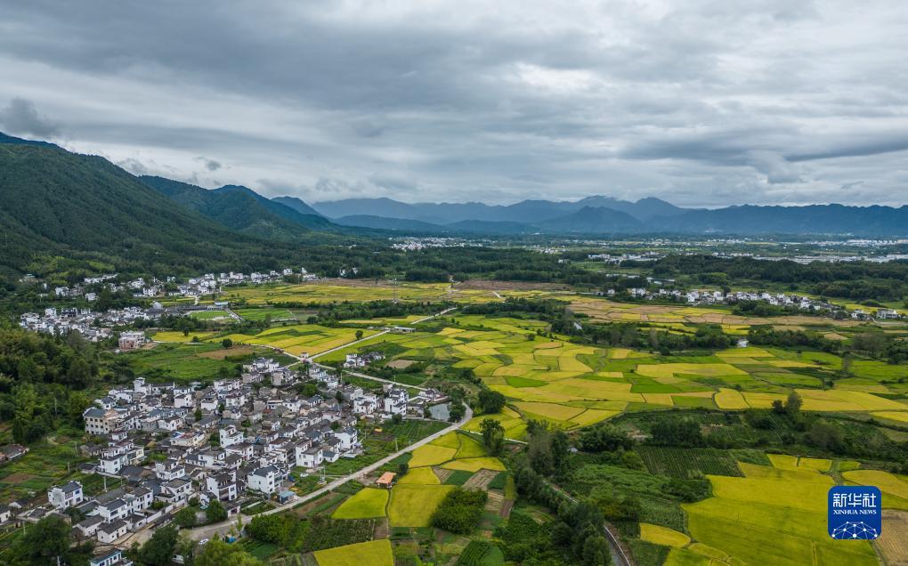 红宝石01111.com